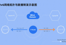 什么是SRv6?SRv6是如何工作的?-刘洪亮Leo的博客
